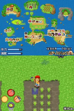 Image n° 3 - screenshots : Bokujou Monogatari - KiraKira Taiyou to Nakamatachi